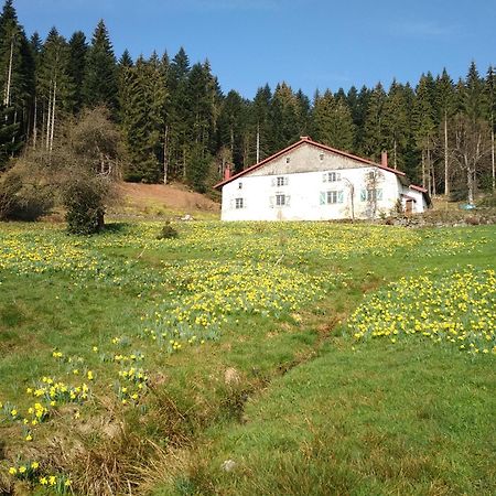 La Ferme Du Badon Apartment Gerardmer Exterior photo